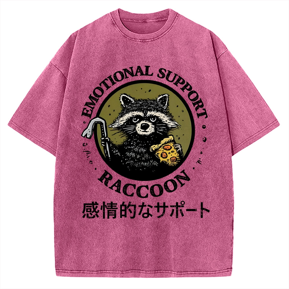 Emotional Support Raccoon Vintage Washed T-shirt