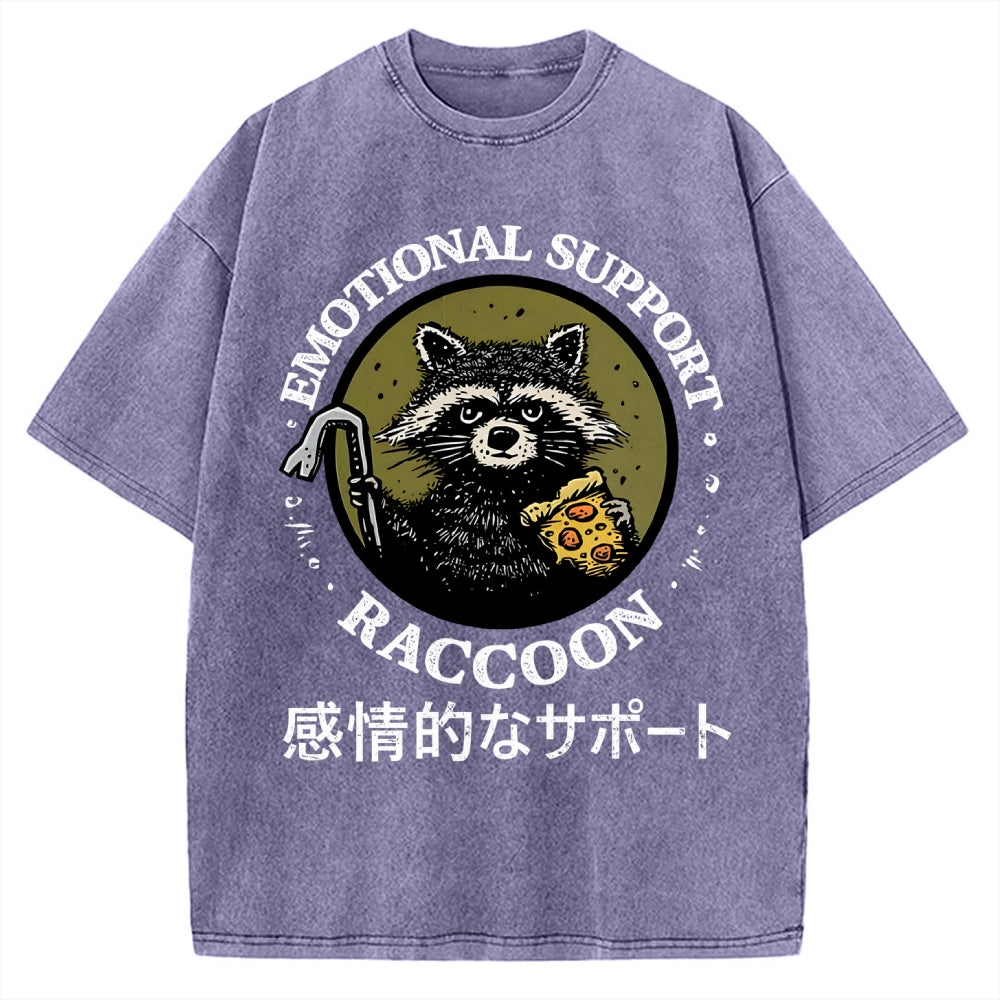 Emotional Support Raccoon Vintage Washed T-shirt
