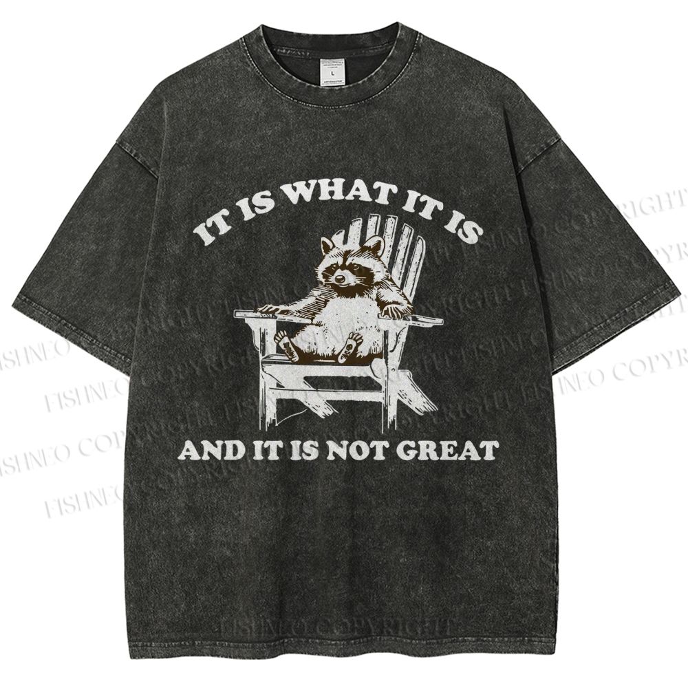 Unisex Raccoon Printed Washed Tee