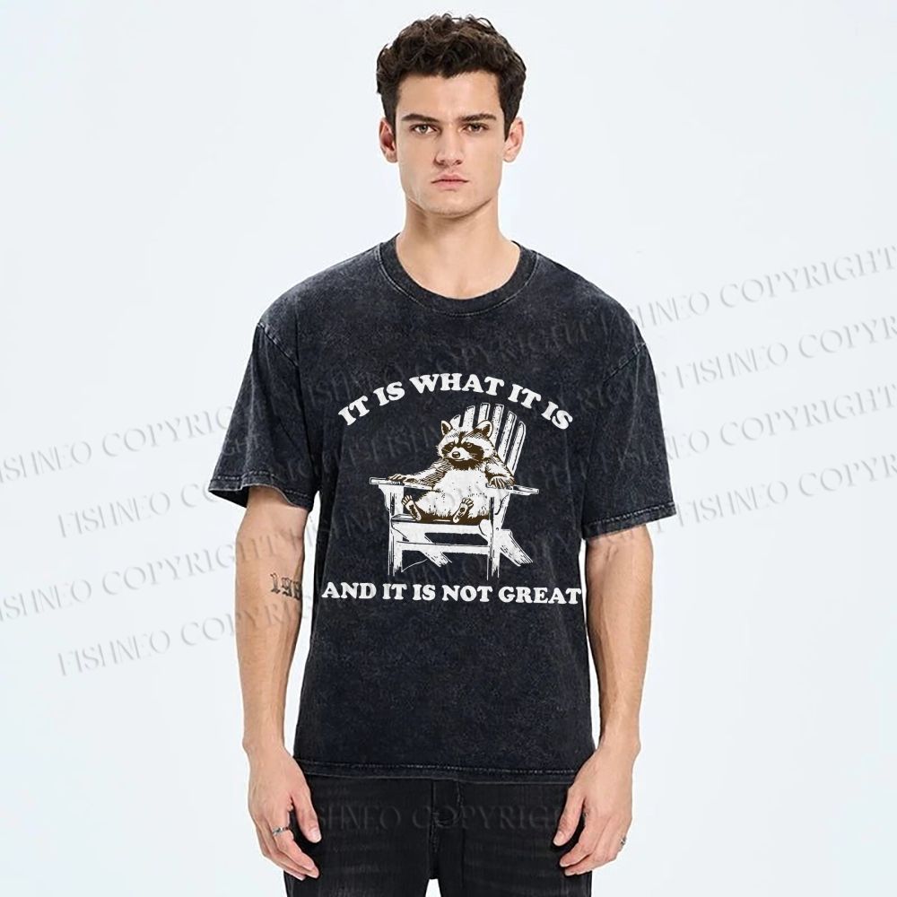 Unisex Raccoon Printed Washed Tee