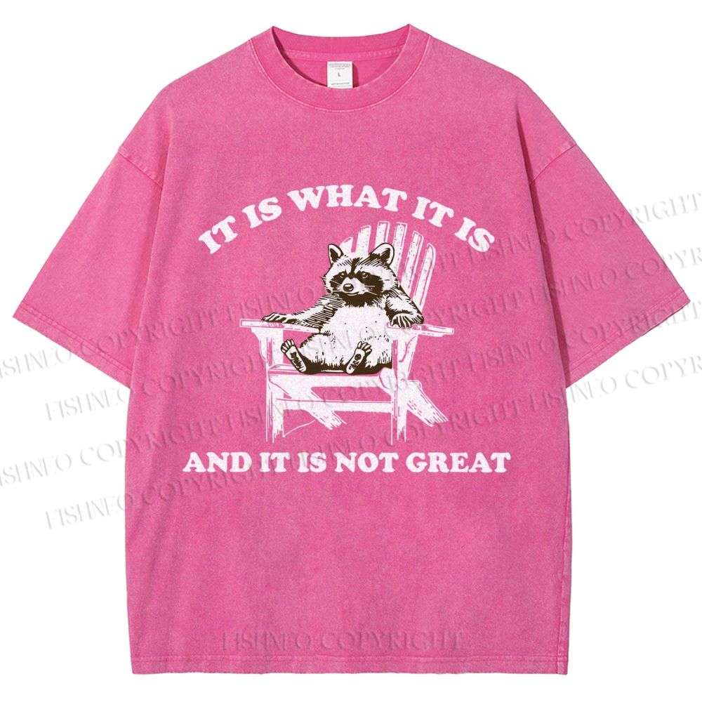 Unisex Raccoon Printed Washed Tee