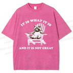 Unisex Raccoon Printed Washed Tee
