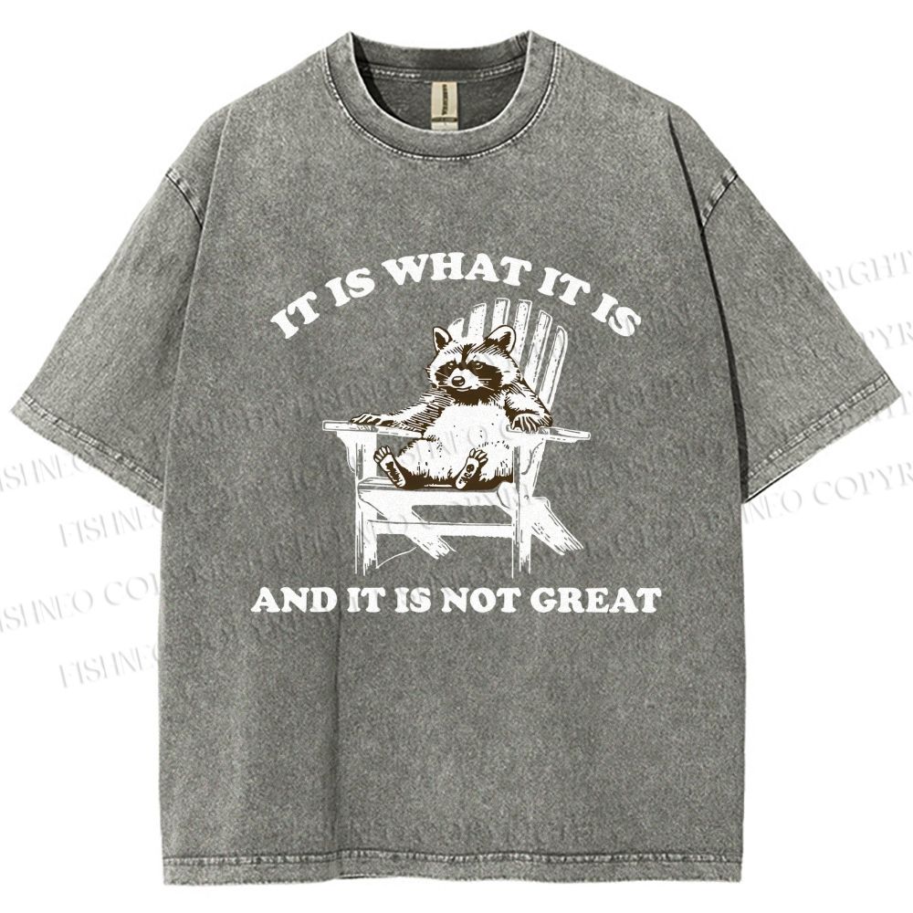 Unisex Raccoon Printed Washed Tee