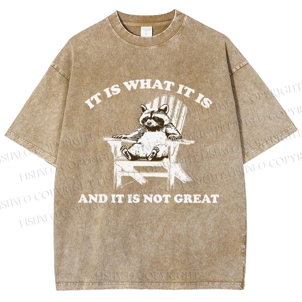 Unisex Raccoon Printed Washed Tee