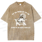 Unisex Raccoon Printed Washed Tee