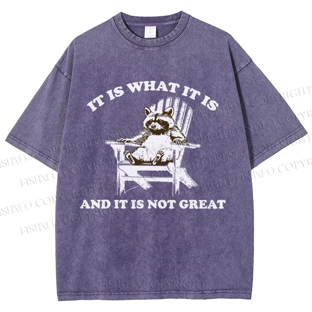 Unisex Raccoon Printed Washed Tee