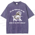 Unisex Raccoon Printed Washed Tee
