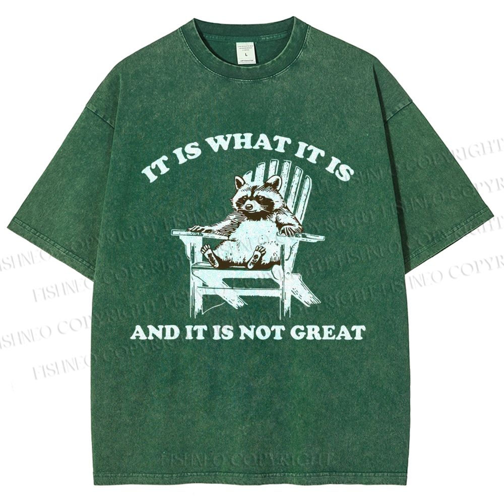 Unisex Raccoon Printed Washed Tee