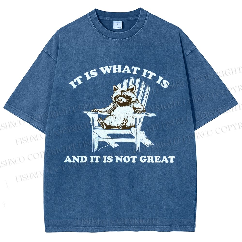 Unisex Raccoon Printed Washed Tee