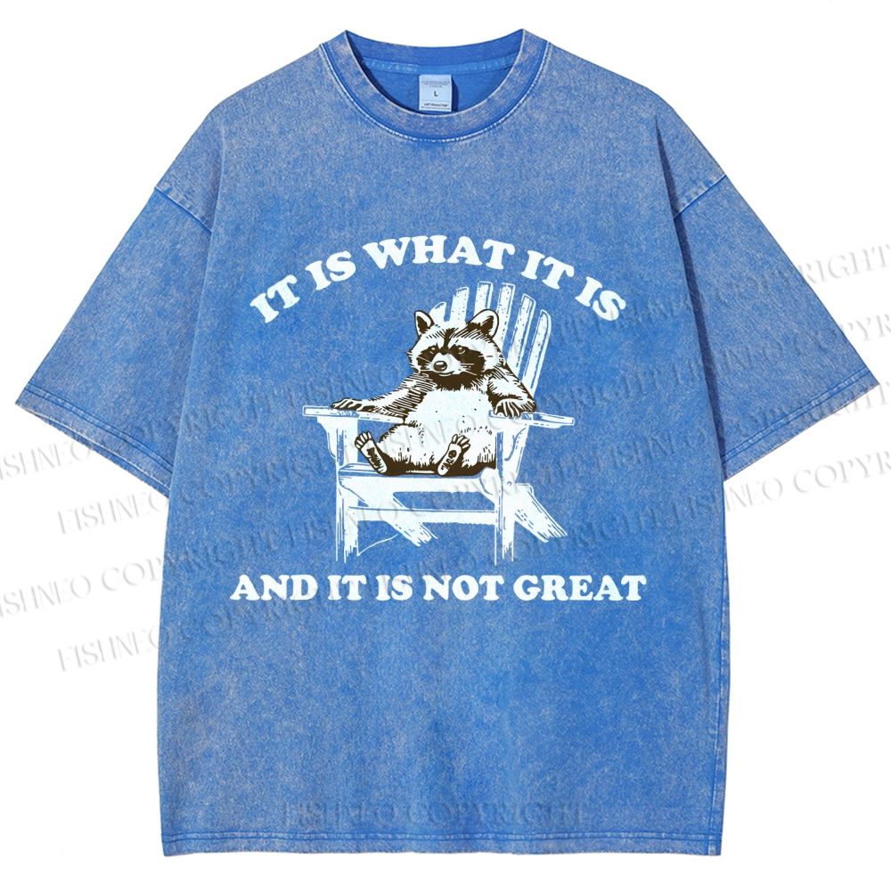 Unisex Raccoon Printed Washed Tee