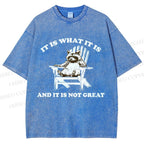 Unisex Raccoon Printed Washed Tee