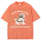 Unisex Raccoon Printed Washed Tee