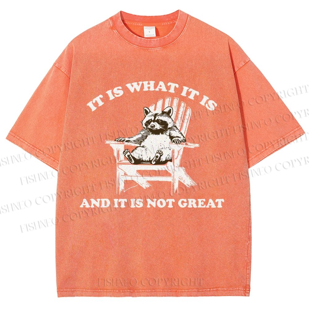 Unisex Raccoon Printed Washed Tee