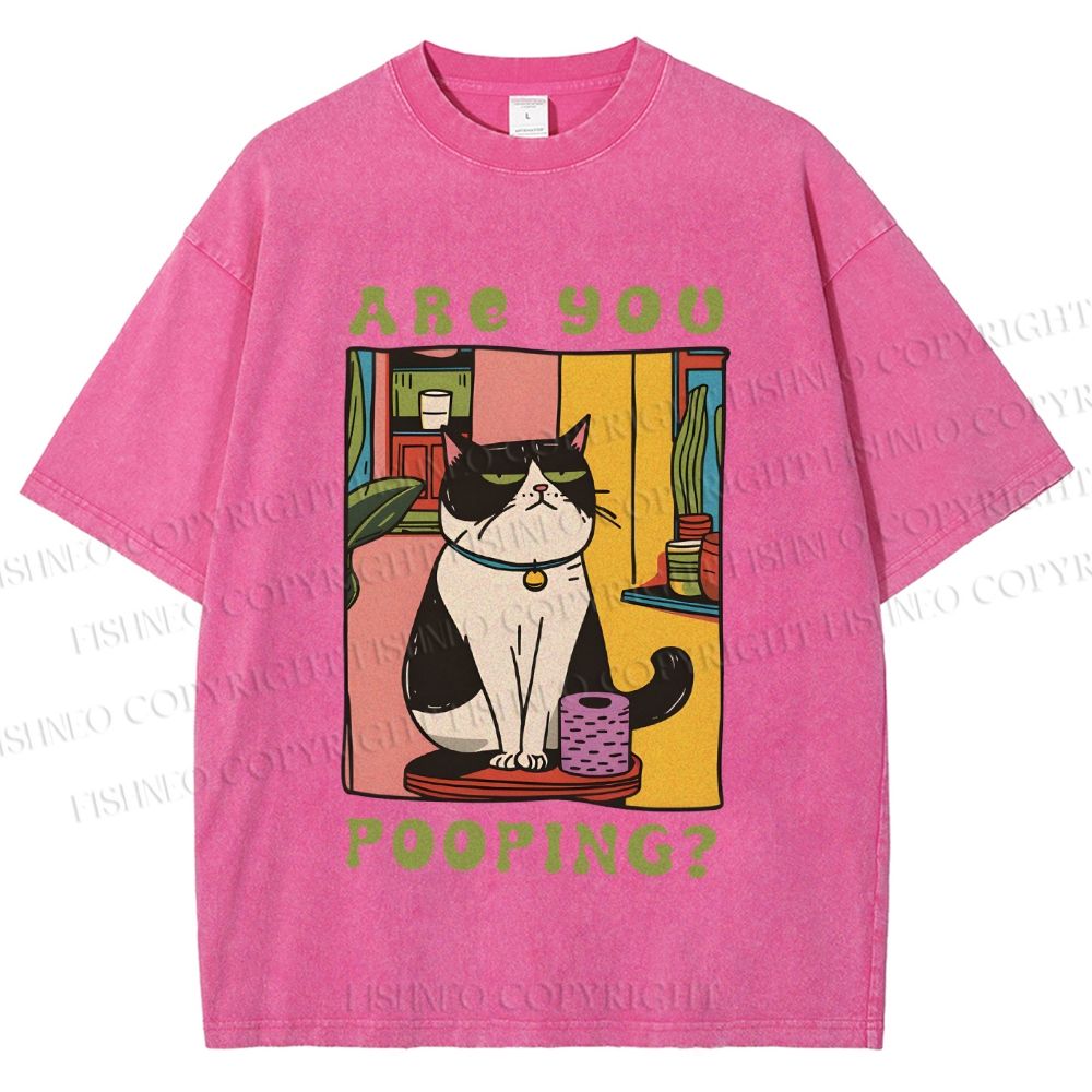 Unisex Are You Pooping Cat Printed Washed Tee