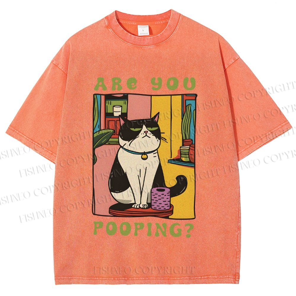 Unisex Are You Pooping Cat Printed Washed Tee