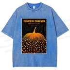 Unisex Japanese Pumpkin Printed Washed Tee