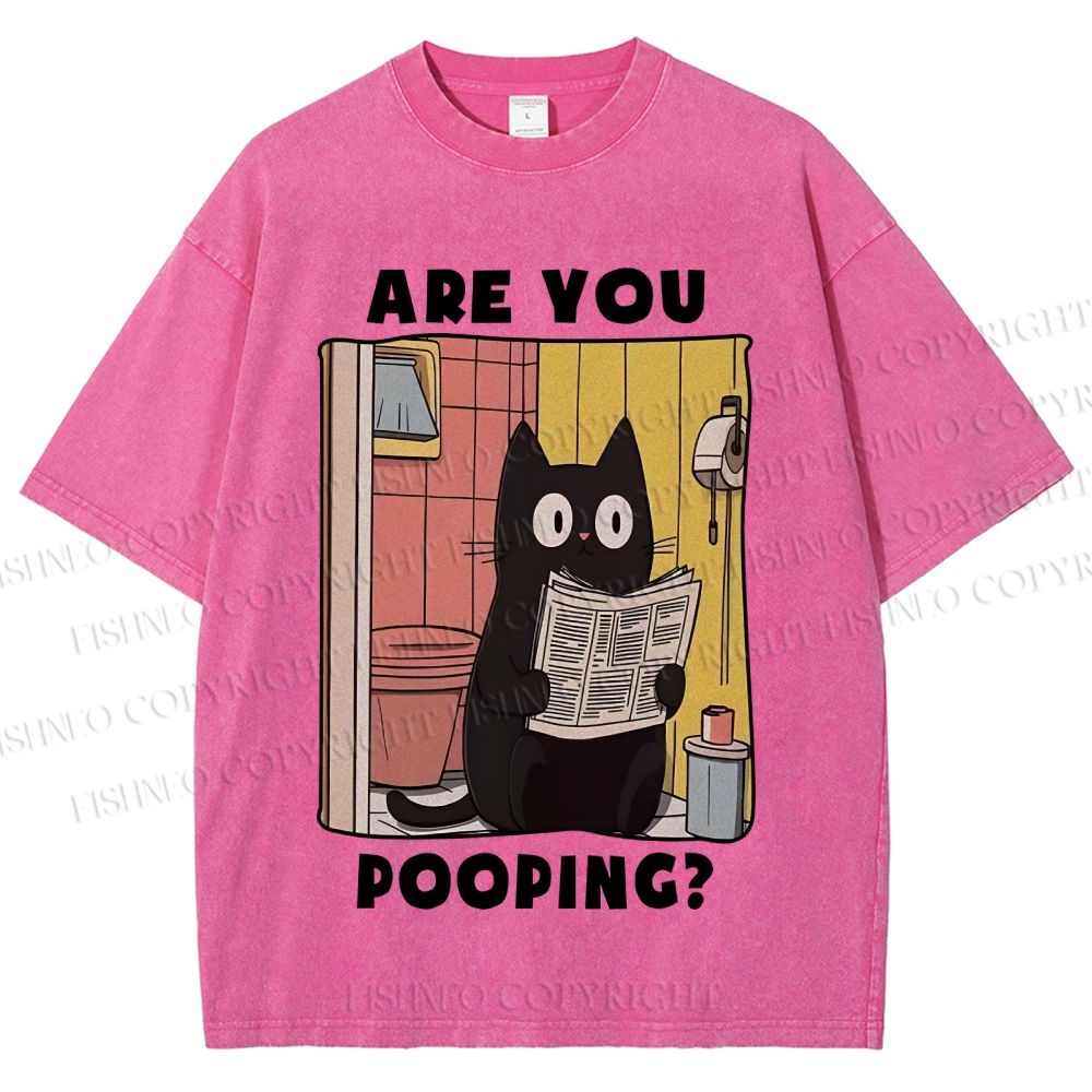 Unisex Are You Pooping Cat Printed Washed Tee