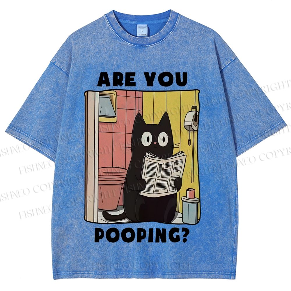 Unisex Are You Pooping Cat Printed Washed Tee