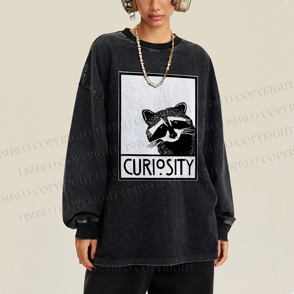 Unisex Casual Washed Raccoon Printed Long Sleeve T-shirt