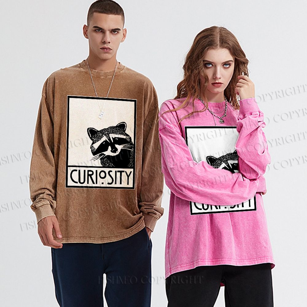Unisex Casual Washed Raccoon Printed Long Sleeve T-shirt