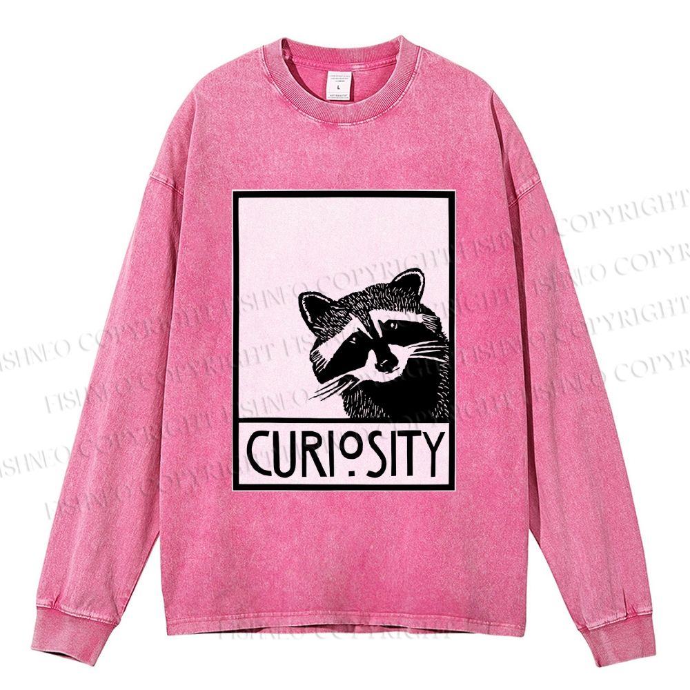 Unisex Casual Washed Raccoon Printed Long Sleeve T-shirt