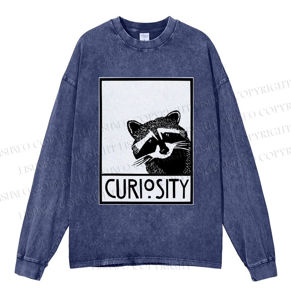 Unisex Casual Washed Raccoon Printed Long Sleeve T-shirt