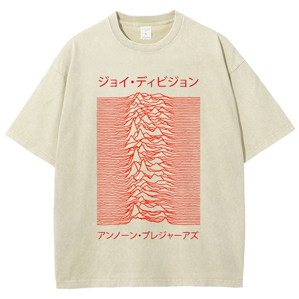 Unknown Pleasures Vintage Washed T-shirt
