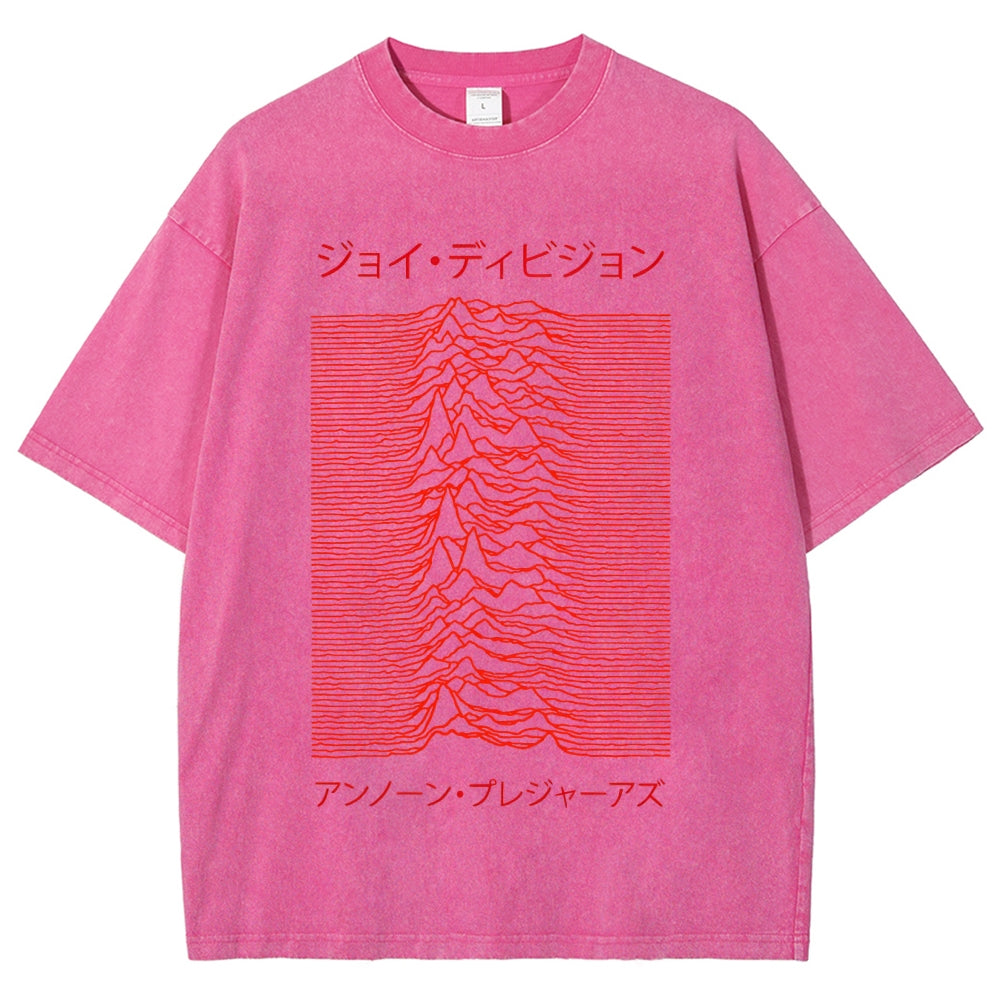 Unknown Pleasures Vintage Washed T-shirt