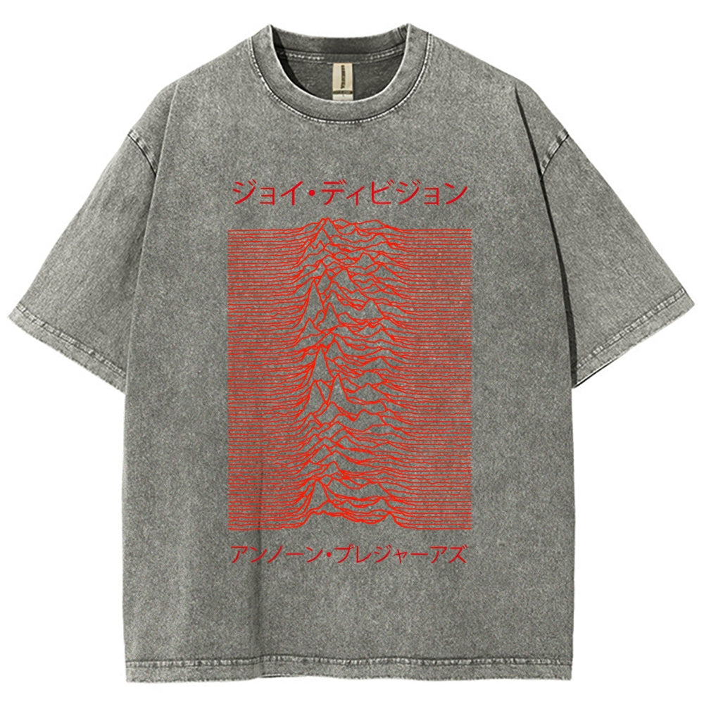 Unknown Pleasures Vintage Washed T-shirt