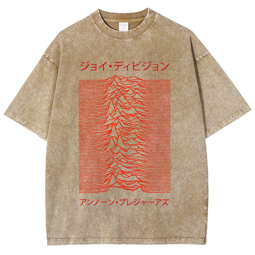 Unknown Pleasures Vintage Washed T-shirt