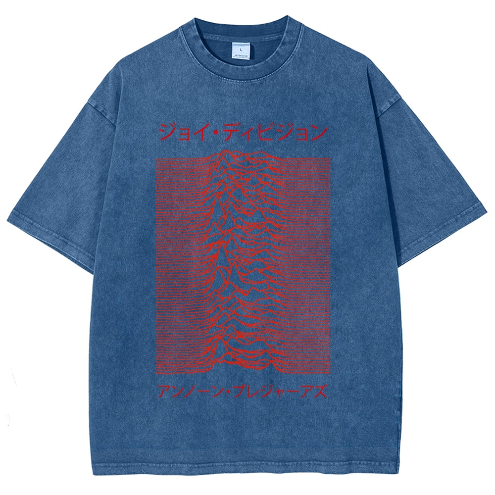 Unknown Pleasures Vintage Washed T-shirt
