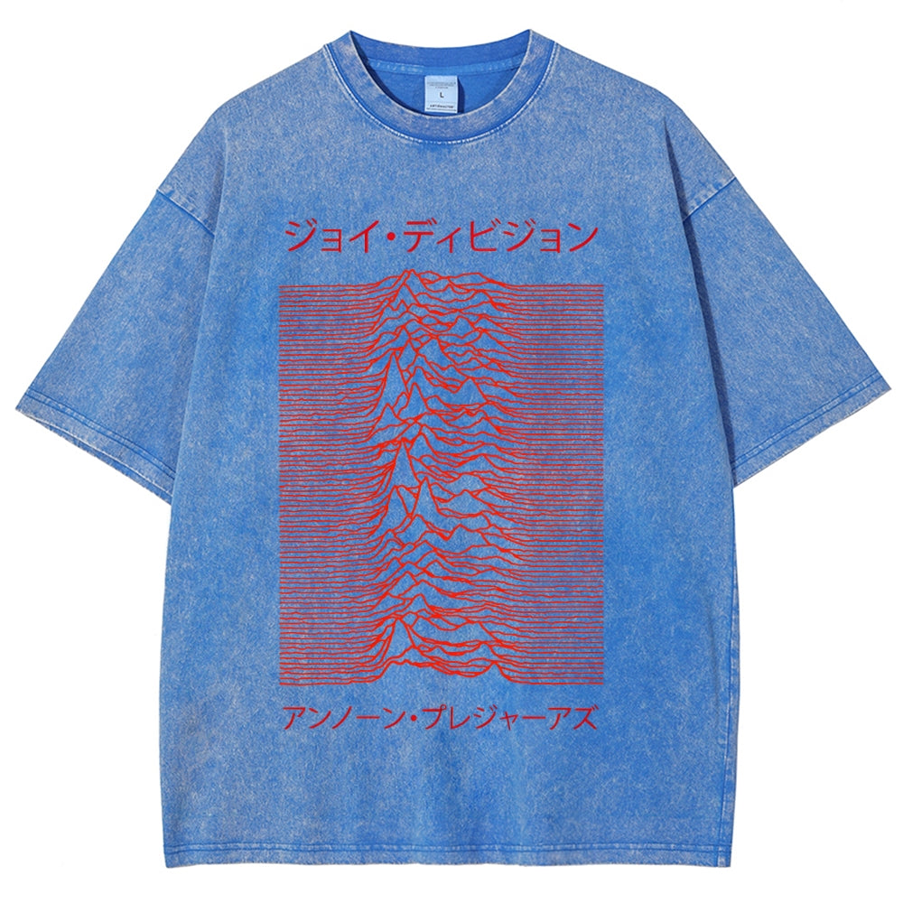 Unknown Pleasures Vintage Washed T-shirt