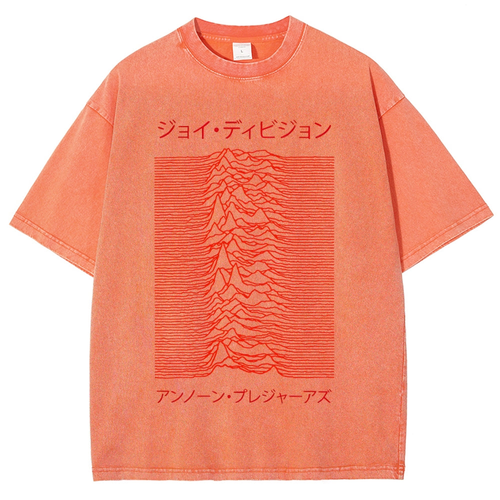 Unknown Pleasures Vintage Washed T-shirt