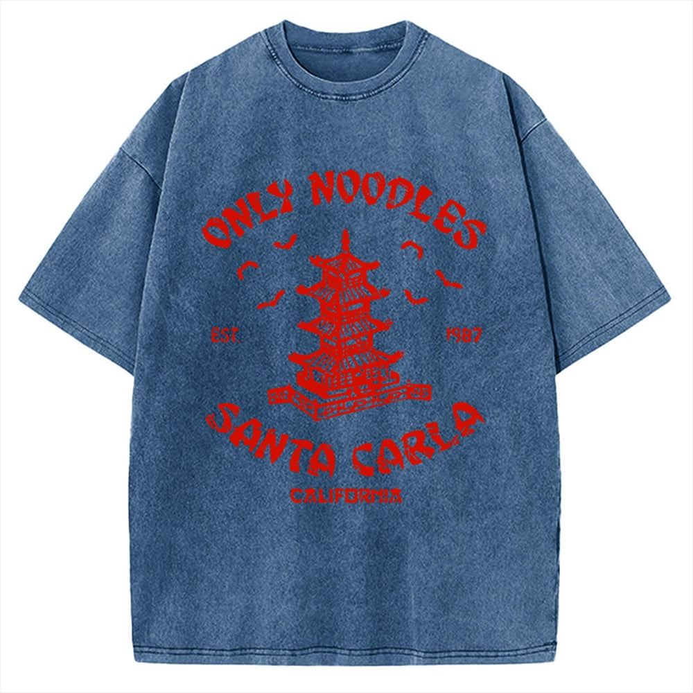 Only Noodles Santa Carla Vintage Washed T-shirt