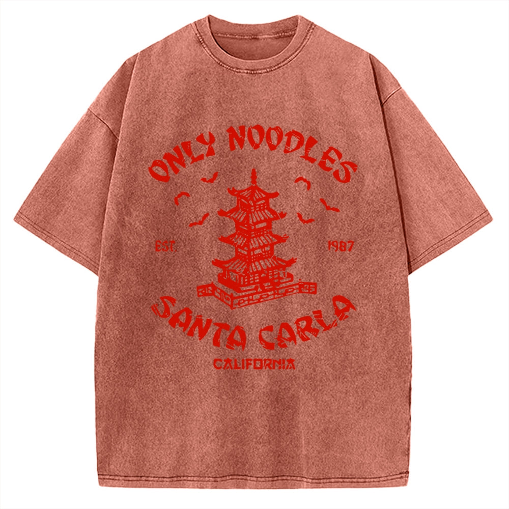 Only Noodles Santa Carla Vintage Washed T-shirt