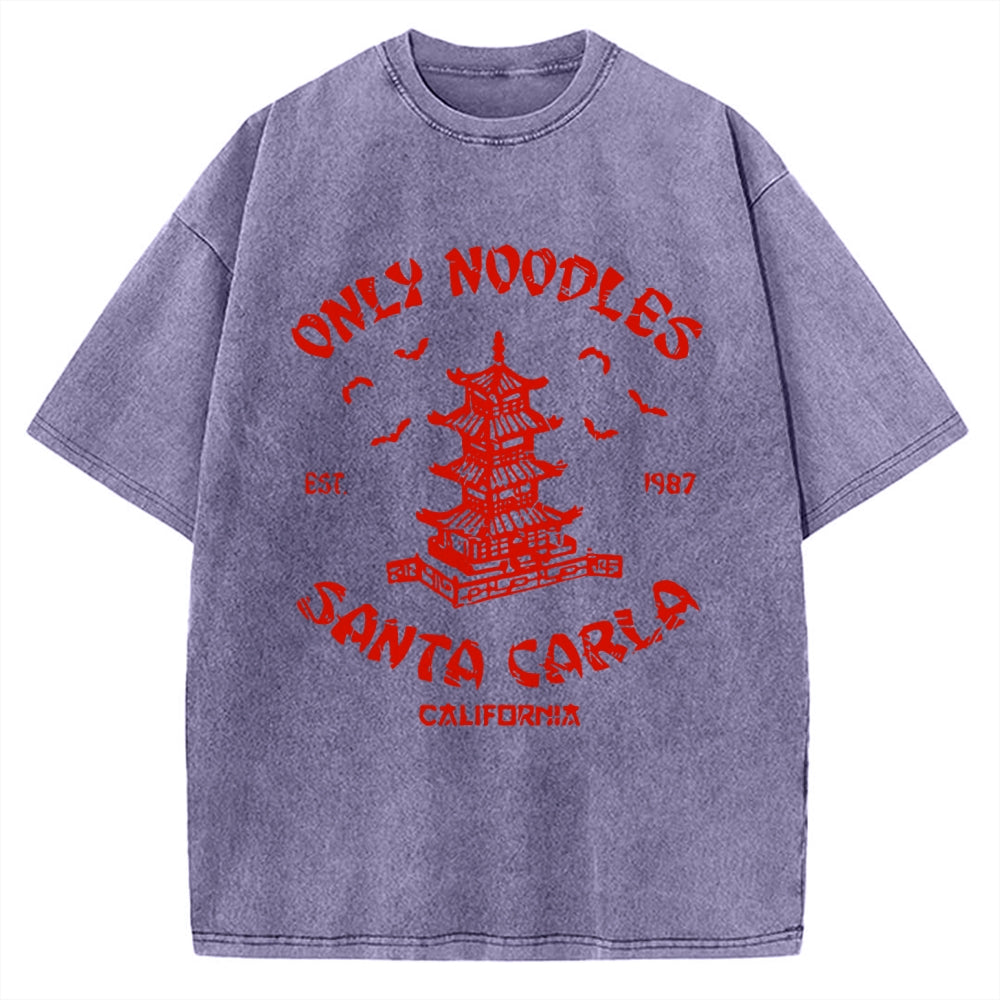 Only Noodles Santa Carla Vintage Washed T-shirt