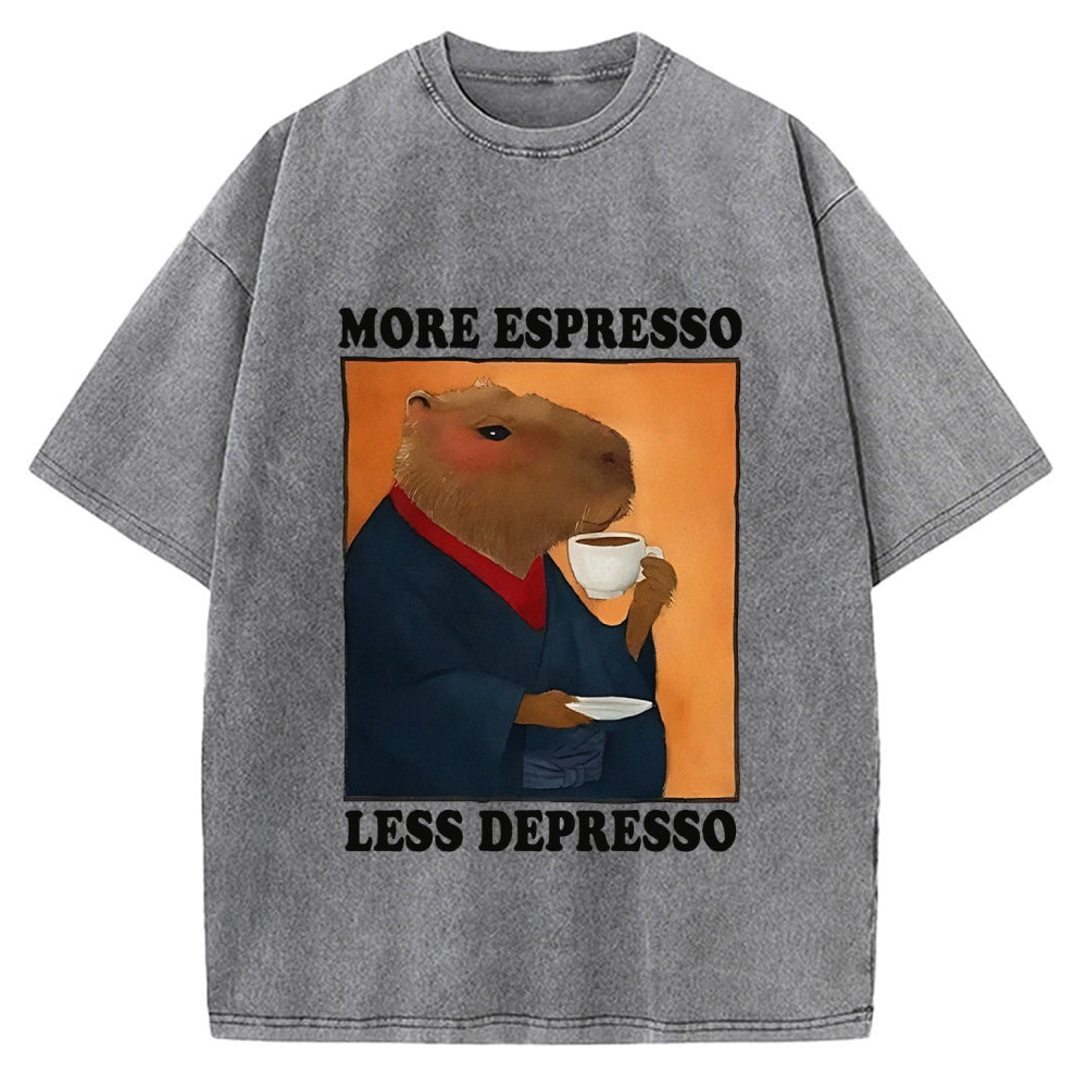 More Espresso Less Depresso Capybara Vintage Washed T-shirt