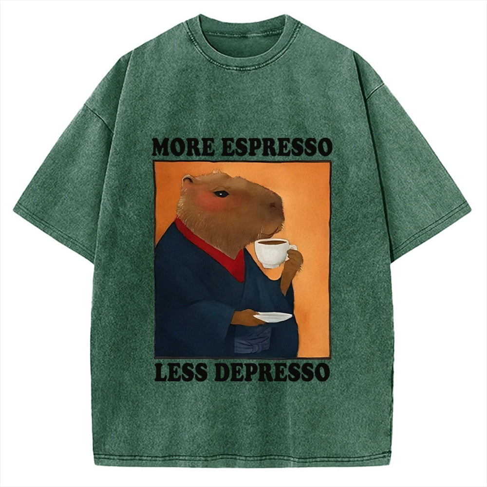 More Espresso Less Depresso Capybara Vintage Washed T-shirt