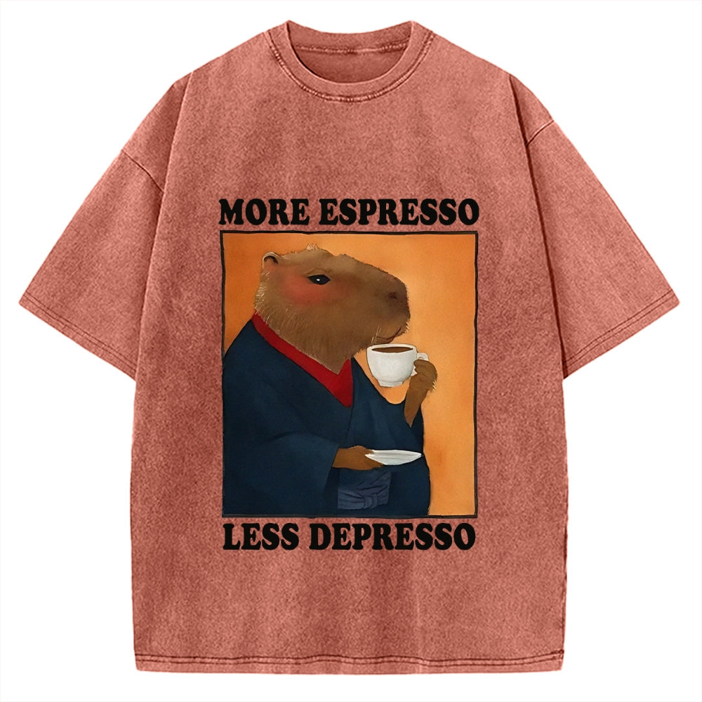 More Espresso Less Depresso Capybara Vintage Washed T-shirt