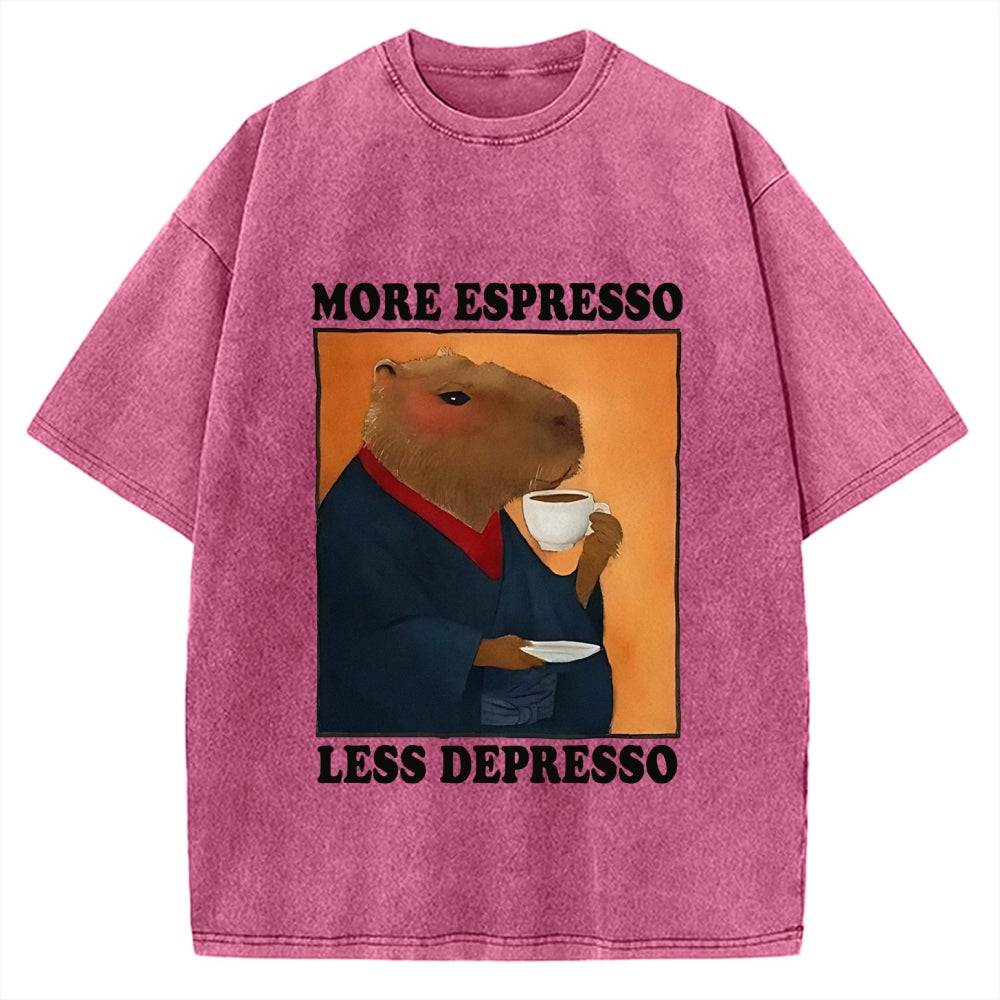 More Espresso Less Depresso Capybara Vintage Washed T-shirt