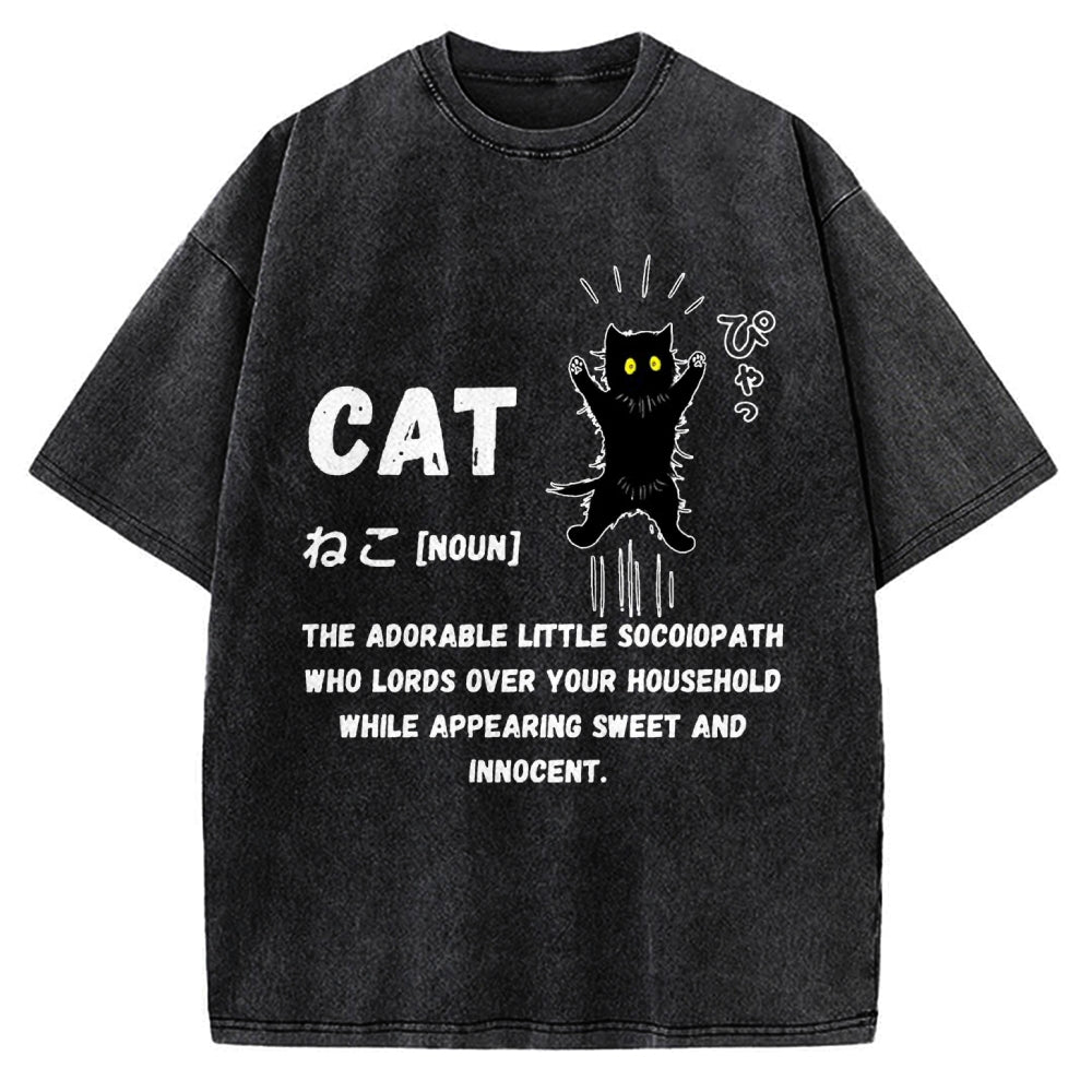 Definition Of Cat Vintage Washed T-shirt