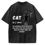 Definition Of Cat Vintage Washed T-shirt