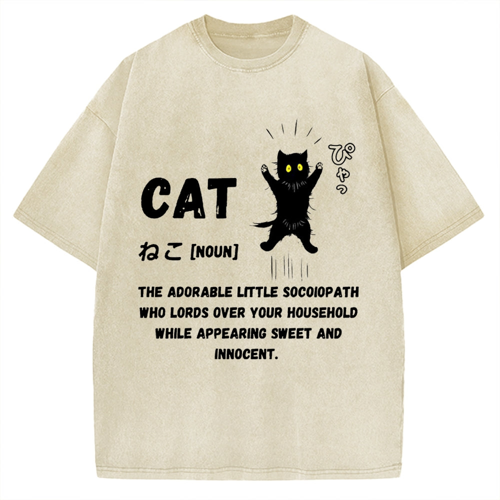 Definition Of Cat Vintage Washed T-shirt