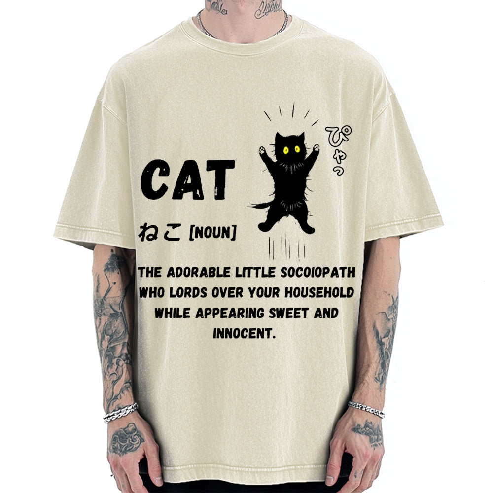 Definition Of Cat Vintage Washed T-shirt