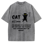 Definition Of Cat Vintage Washed T-shirt