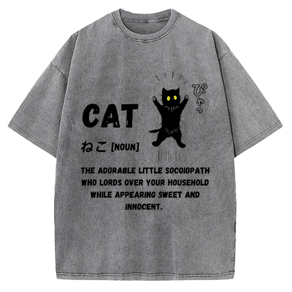 Definition Of Cat Vintage Washed T-shirt