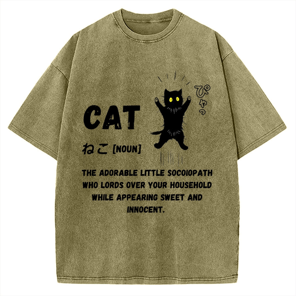 Definition Of Cat Vintage Washed T-shirt