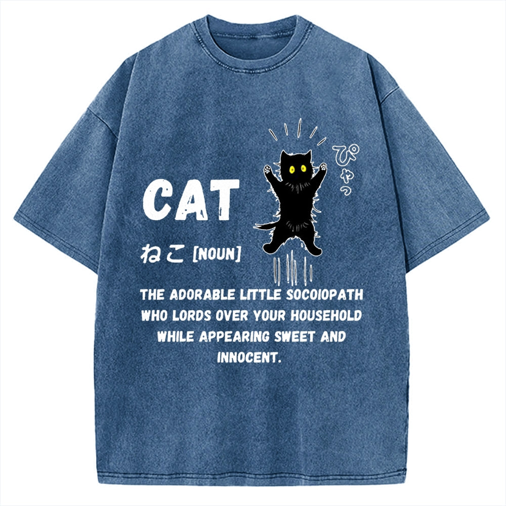 Definition Of Cat Vintage Washed T-shirt