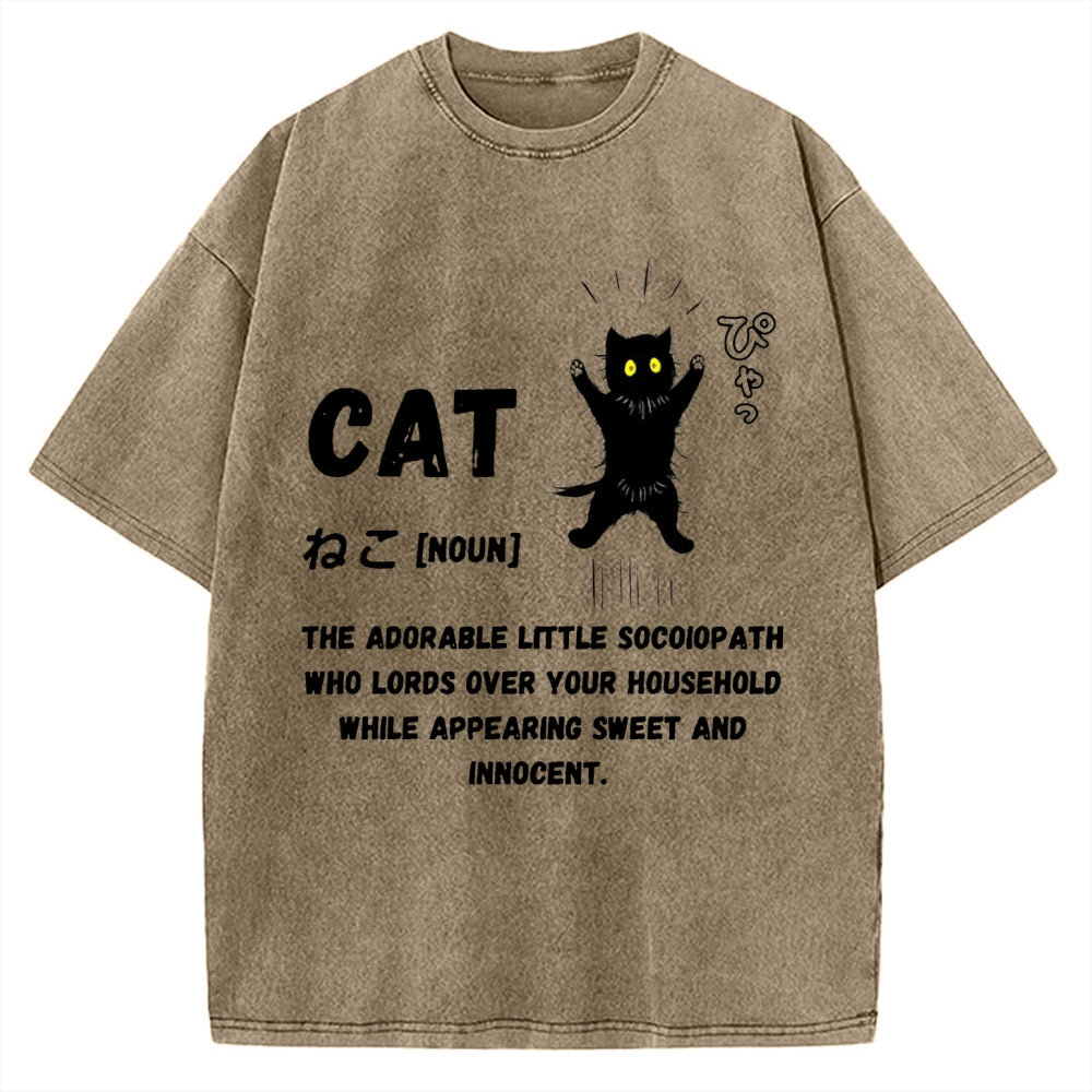 Definition Of Cat Vintage Washed T-shirt