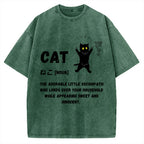 Definition Of Cat Vintage Washed T-shirt